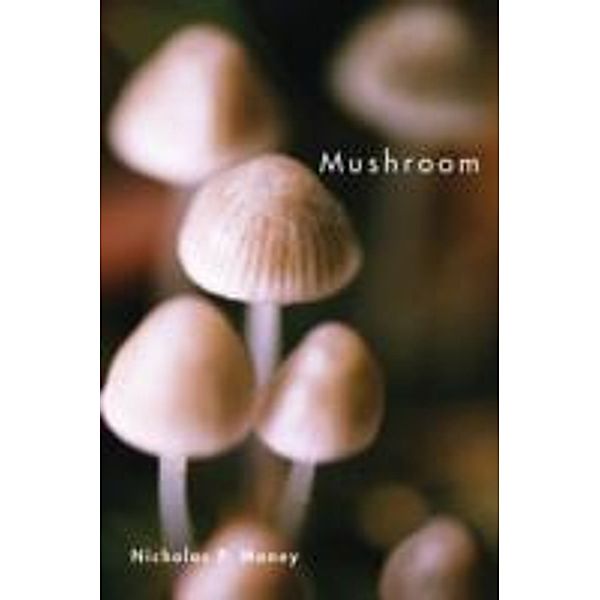 Mushroom, Nicholas P. Money