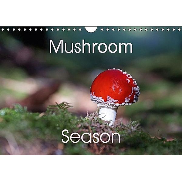 Mushroom Season (Wall Calendar 2017 DIN A4 Landscape), flori0, k.A. Flori0