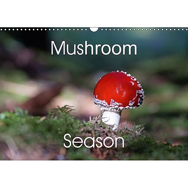 Mushroom Season (Wall Calendar 2018 DIN A3 Landscape), Flori0