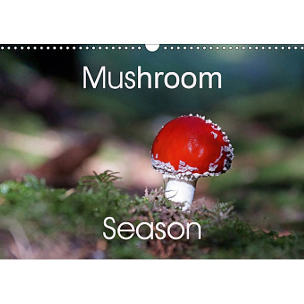 Mushroom Season (Wall Calendar 2021 DIN A3 Landscape)
