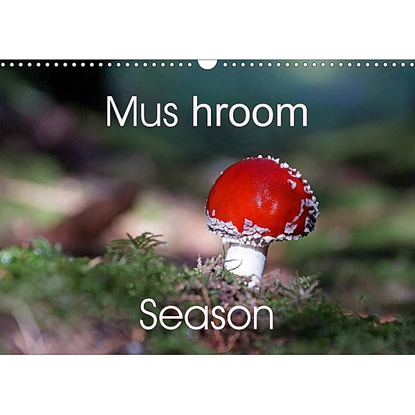 Mushroom Season (Wall Calendar 2022 DIN A3 Landscape), Flori0