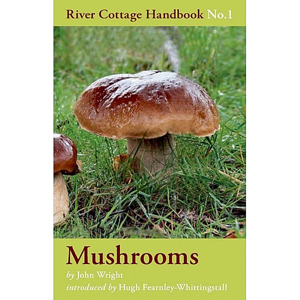 Mushrooms, John Wright