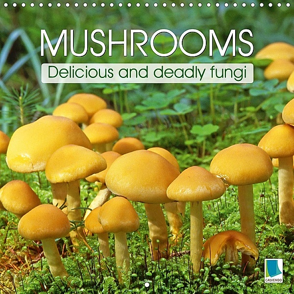 Mushrooms - Delicious and deadly fungi (Wall Calendar 2021 300 × 300 mm Square)