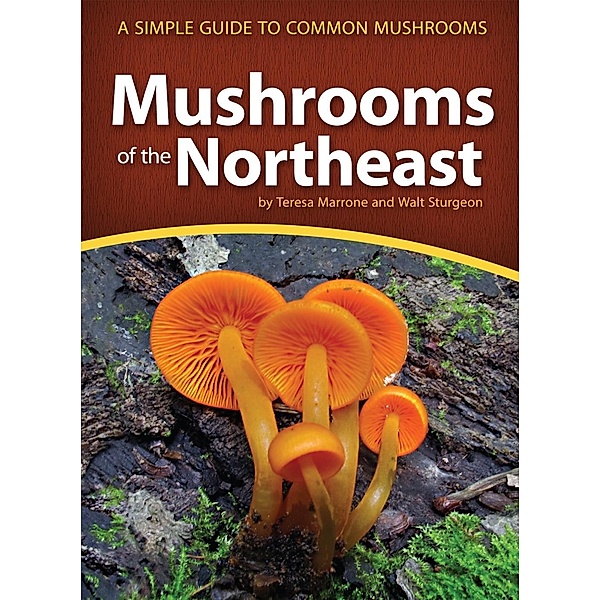 Mushrooms of the Northeast / Mushroom Guides, Teresa Marrone, Walt Sturgeon