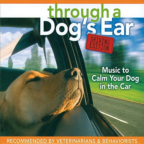 Music For Driving With Your Dog, Joshua Leeds