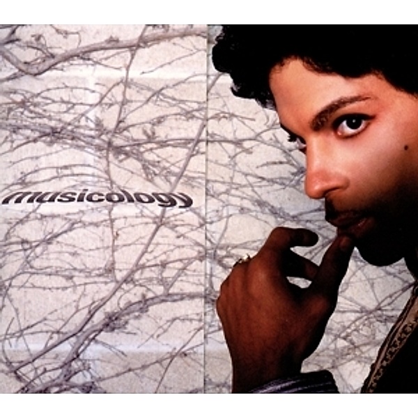 Musicology, Prince