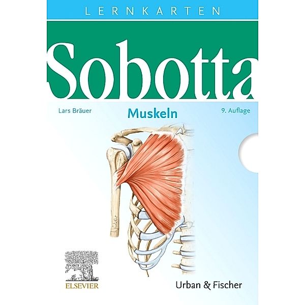 Muskeln, Lernkarten, Johannes Sobotta, Lars Bräuer