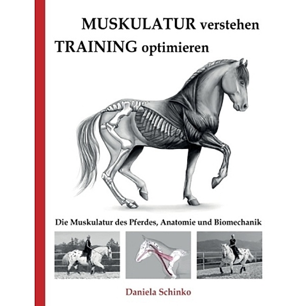 Muskulatur verstehen - Training optimieren, Daniela Schinko