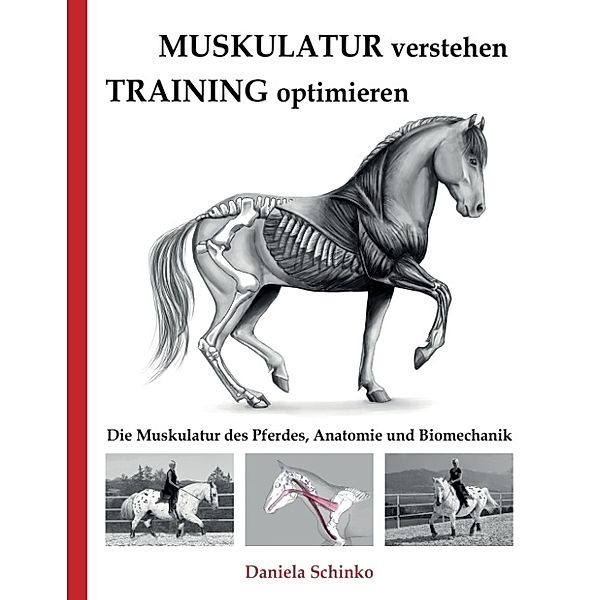 Muskulatur verstehen - Training optimieren, Daniela Schinko