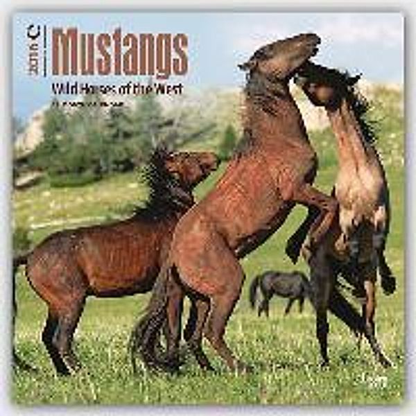 Mustangs 2016