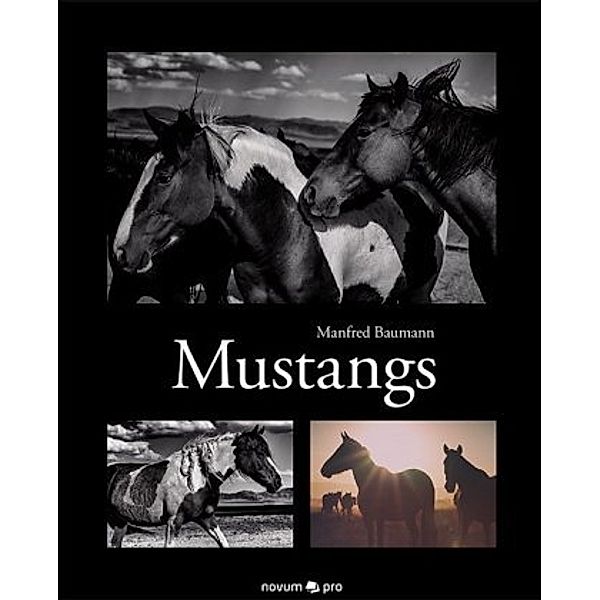 Mustangs, Manfred Baumann