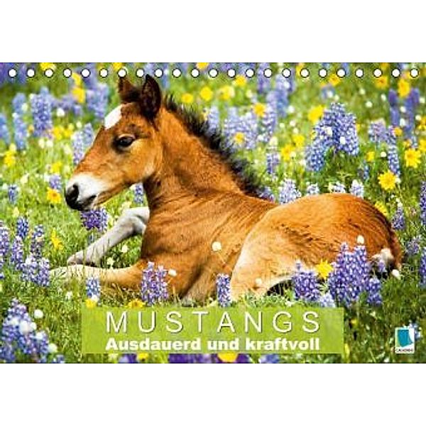 Mustangs: Ausdauerd und kraftvoll (Tischkalender 2015 DIN A5 quer), CALVENDO