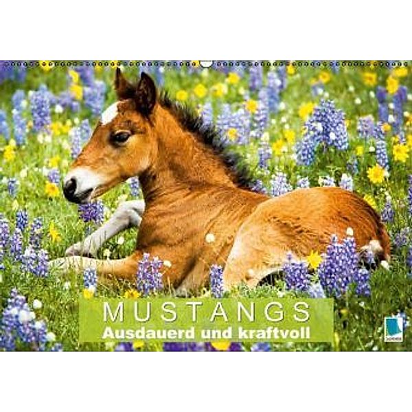 Mustangs: Ausdauerd und kraftvoll (Wandkalender 2015 DIN A2 quer), CALVENDO