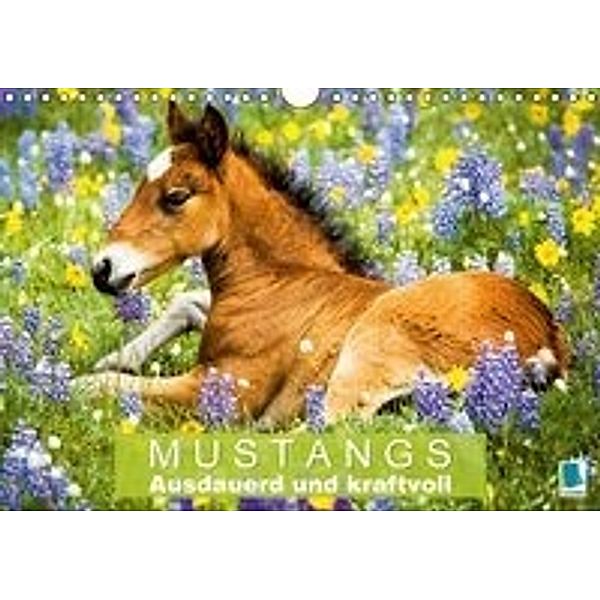 Mustangs: Ausdauerd und kraftvoll (Wandkalender 2016 DIN A4 quer), CALVENDO