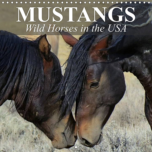 Mustangs - Wild Horses in the USA (Wall Calendar 2023 300 × 300 mm Square), Elisabeth Stanzer
