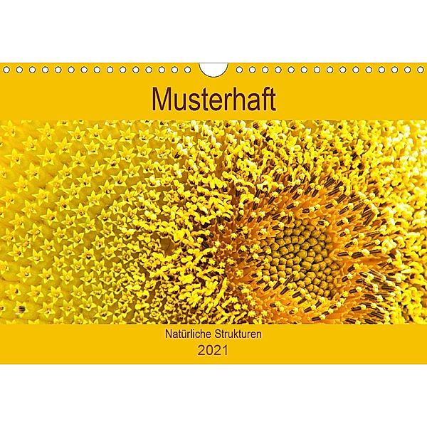 Musterhaft - Natürliche Strukturen (Wandkalender 2021 DIN A4 quer), Meike Bölts