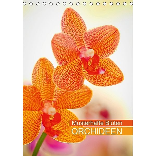 Musterhafte Blüten - Orchideen (Tischkalender 2014 DIN A5 hoch)