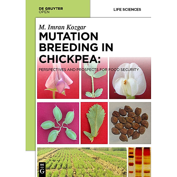 Mutation Breeding in Chickpea, Imran Kozgar