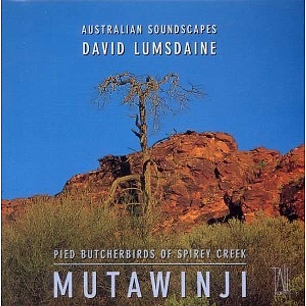 Mutawinji, David Lumsdaine