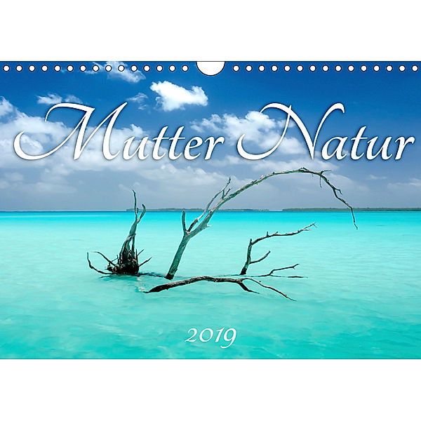 Mutter Natur (Wandkalender 2019 DIN A4 quer), Michaela Urban