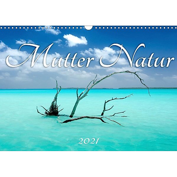 Mutter Natur (Wandkalender 2021 DIN A3 quer), Michaela Urban