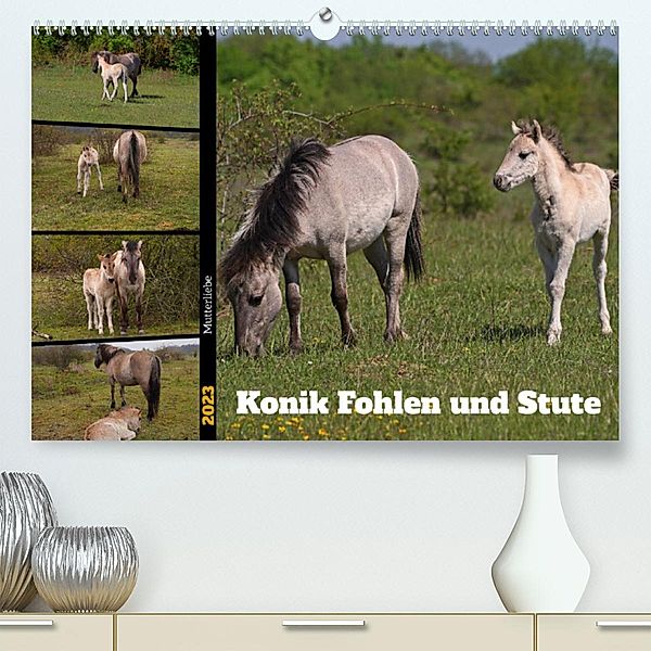 Mutterliebe - Konik Fohlen und Stute (Premium, hochwertiger DIN A2 Wandkalender 2023, Kunstdruck in Hochglanz), Babett Paul - Babetts Bildergalerie