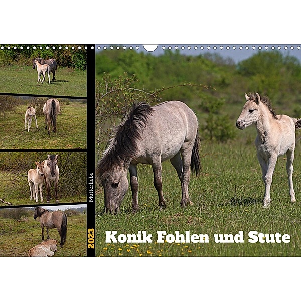 Mutterliebe - Konik Fohlen und Stute (Wandkalender 2023 DIN A3 quer), Babett Paul - Babetts Bildergalerie