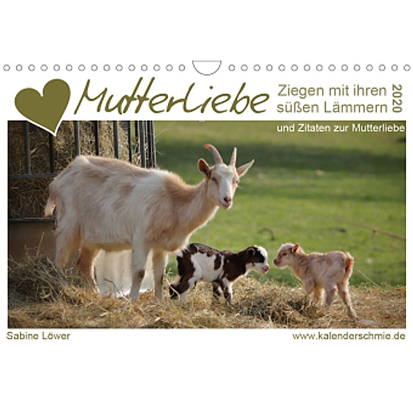 Mutterliebe - Ziegen mit ihren süßen Lämmern (Wandkalender 2020 DIN A4 quer), Sabine Löwer
