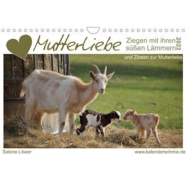Mutterliebe - Ziegen mit ihren süßen Lämmern (Wandkalender 2022 DIN A4 quer), Sabine Löwer