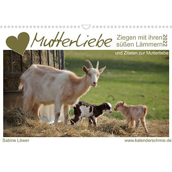 Mutterliebe - Ziegen mit ihren süßen Lämmern (Wandkalender 2022 DIN A3 quer), Sabine Löwer