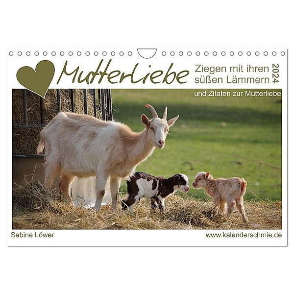 Mutterliebe - Ziegen mit ihren süßen Lämmern (Wandkalender 2024 DIN A4 quer), CALVENDO Monatskalender, Sabine Löwer