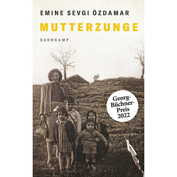 Mutterzunge / suhrkamp taschenbücher Allgemeine Reihe Bd.5346, Emine Sevgi Özdamar