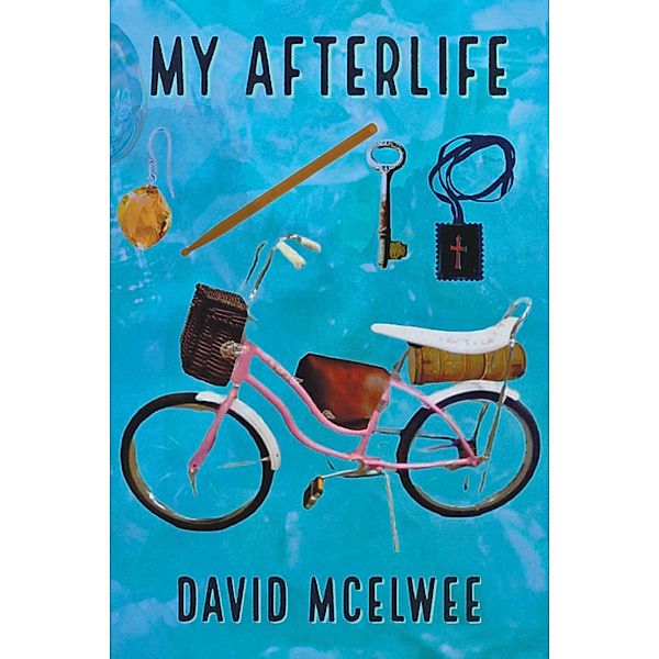 My Afterlife, David McElwee