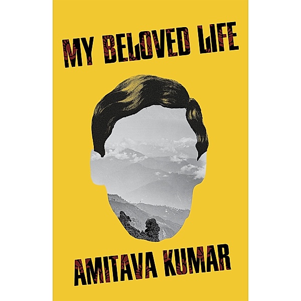 My Beloved Life, Amitava Kumar