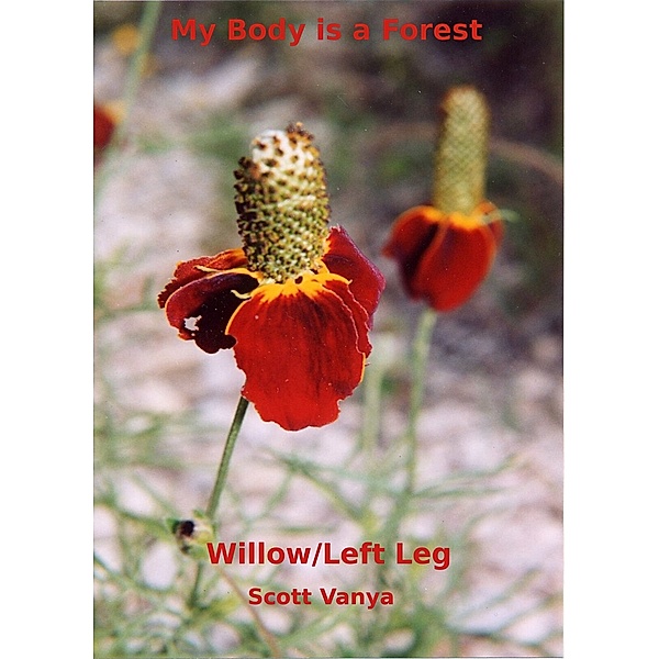 My Body is a Forest-Willow/Left Leg, Scott