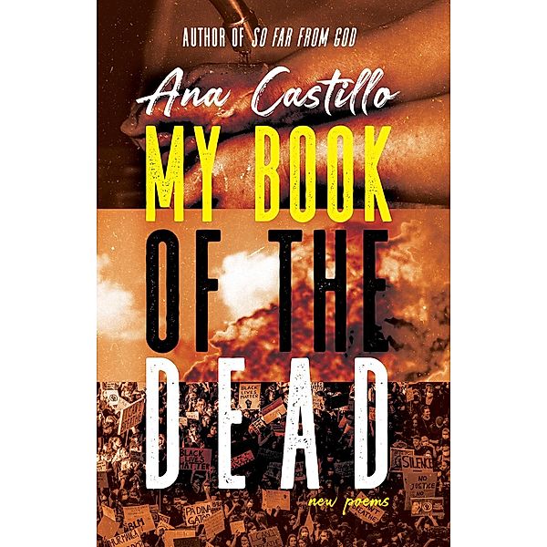 My Book of the Dead, Ana Castillo
