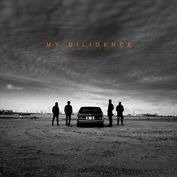 My Diligence (Vinyl), My Diligence