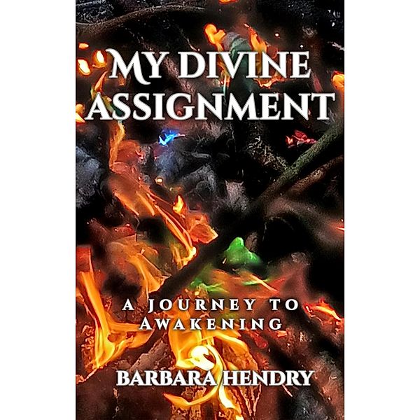 My Divine Assignment:  A Journey to Awakening, Barbara Hendry