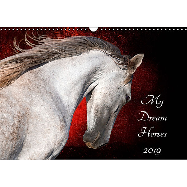 My Dream Horses 2019 (Wall Calendar 2019 DIN A3 Landscape), Nicole Bleck