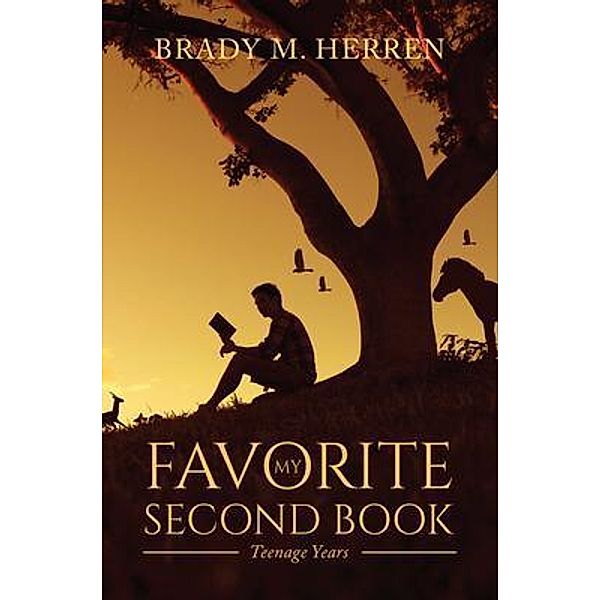 My Favorite Second Book / Stratton Press, Brady Herren