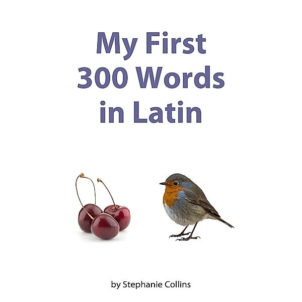 My First 300 Words in Latin, Stephanie Collins