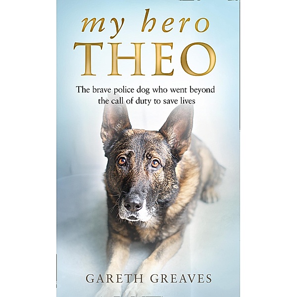 My Hero Theo, Gareth Greaves