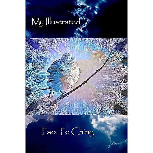 My Illustrated Tao Te Ching / Illustrated Tao Te Ching, David Petersen, Mandy Conti