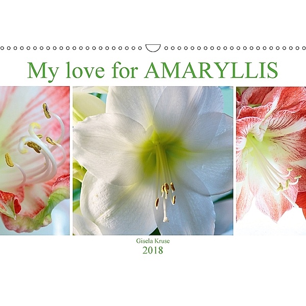 My love for AMARYLLIS (Wall Calendar 2018 DIN A3 Landscape), Gisela Kruse