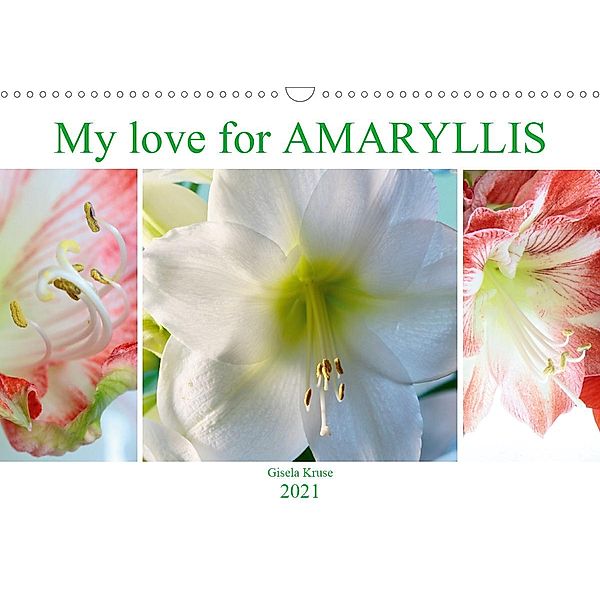 My love for AMARYLLIS (Wall Calendar 2021 DIN A3 Landscape), Gisela Kruse