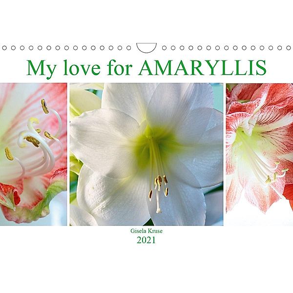 My love for AMARYLLIS (Wall Calendar 2021 DIN A4 Landscape), Gisela Kruse