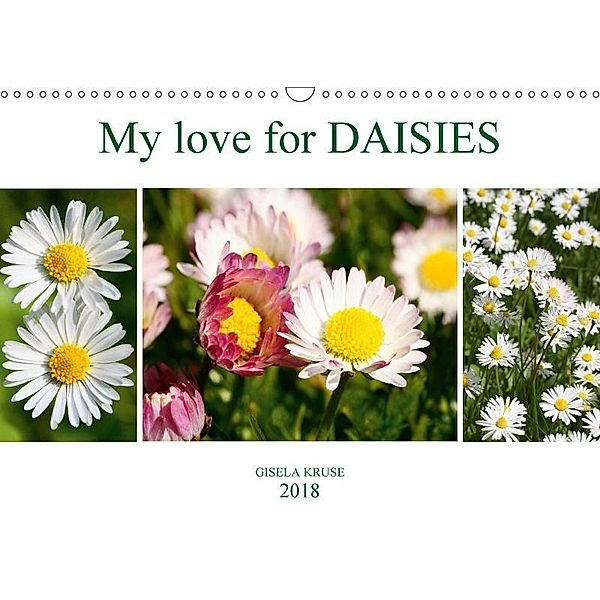 My love for daisies (Wall Calendar 2018 DIN A3 Landscape), Gisela Kruse