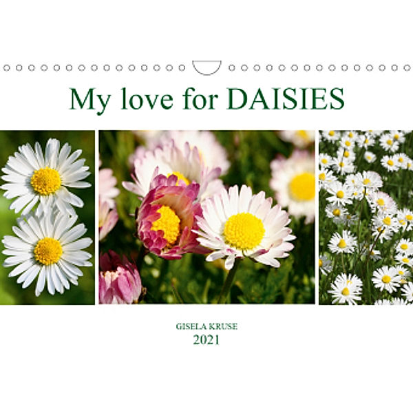My love for daisies (Wall Calendar 2021 DIN A4 Landscape), Gisela Kruse