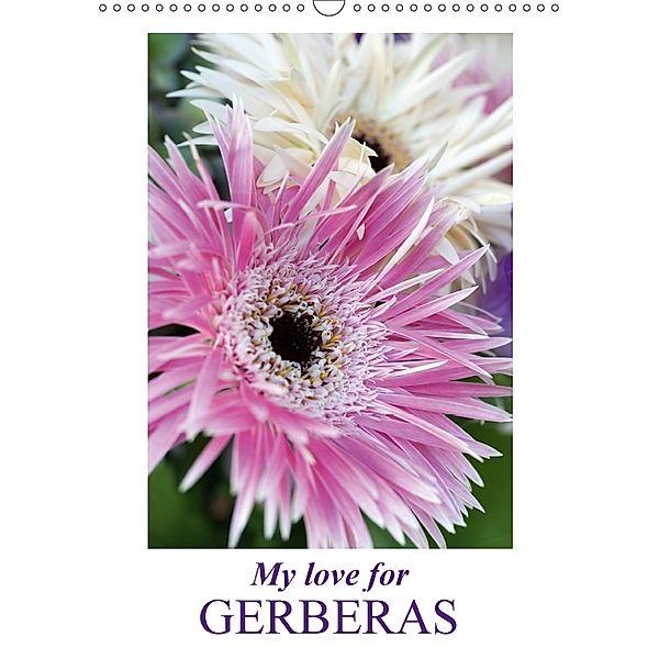 My love for Gerberas (Wall Calendar 2018 DIN A3 Portrait), Gisela Kruse