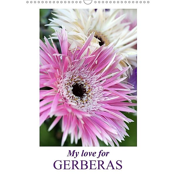 My love for Gerberas (Wall Calendar 2021 DIN A3 Portrait), Gisela Kruse